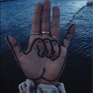 Meet your Posher, Donna